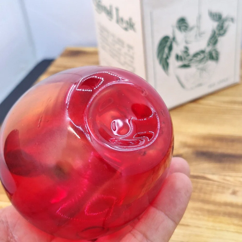 Red Apple Hand-blown Hanging Propagation Air Plant‎ Glass Sears Box